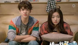 快把我哥带走电视剧,兄弟情谊的温馨演绎